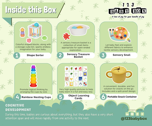 Montessori Educational Box (7-8 months) detail view