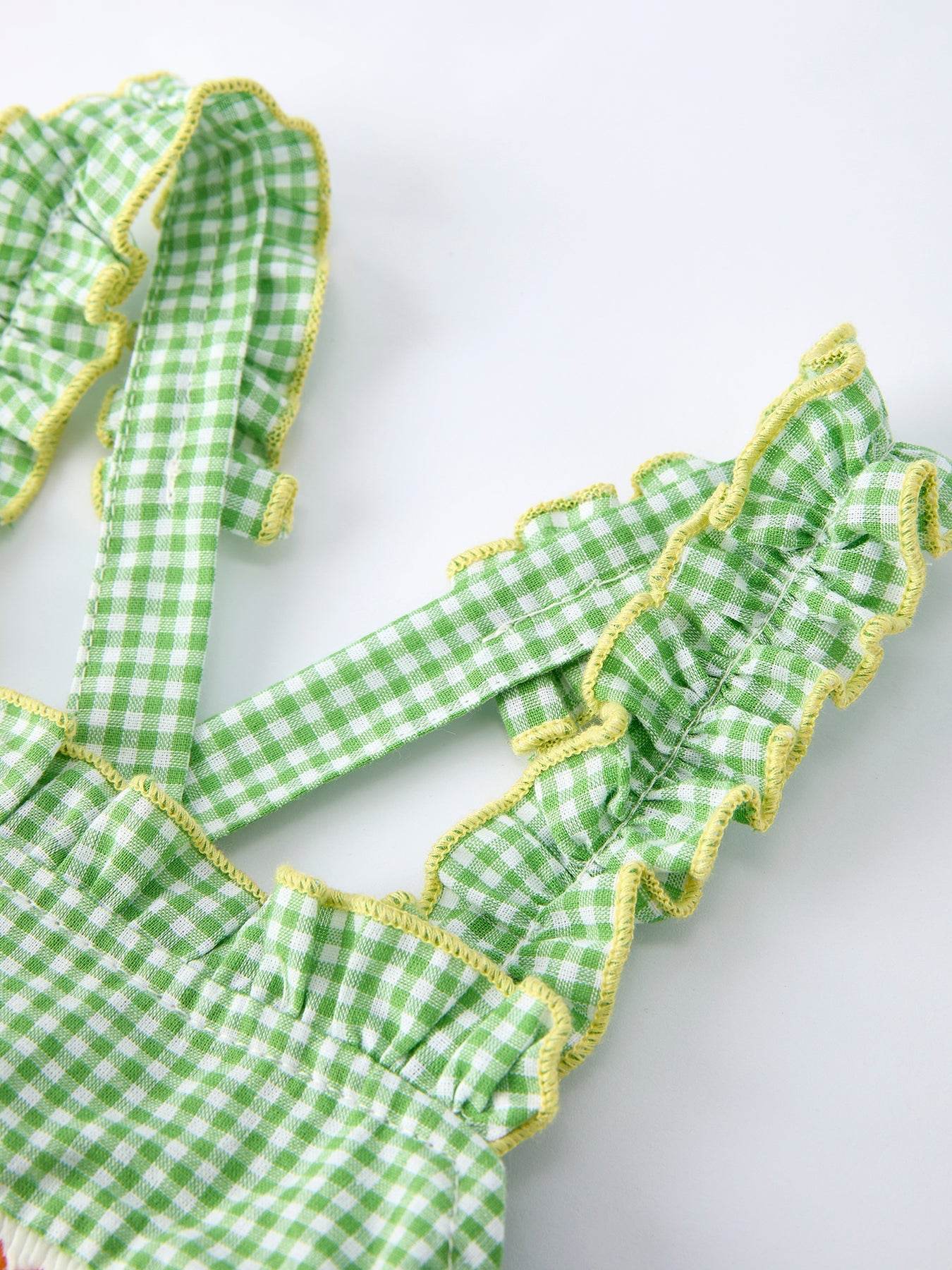 Spring Turtle Smocked Baby Girls Dress