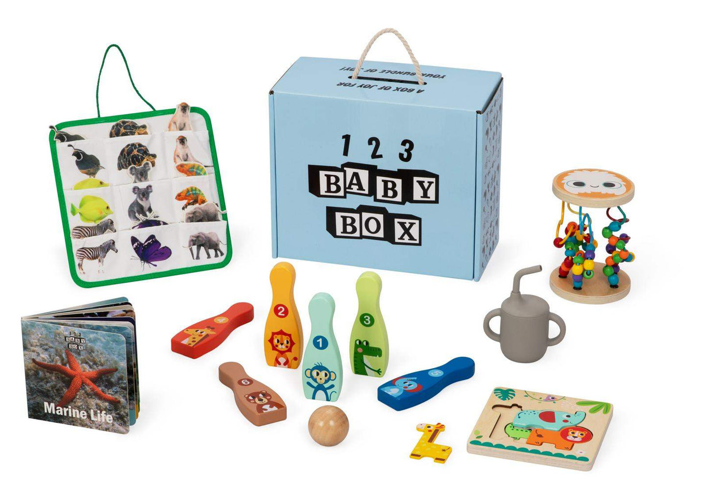 Montessori educational box for toddlers 19-21 months with developmental toys and learning materials