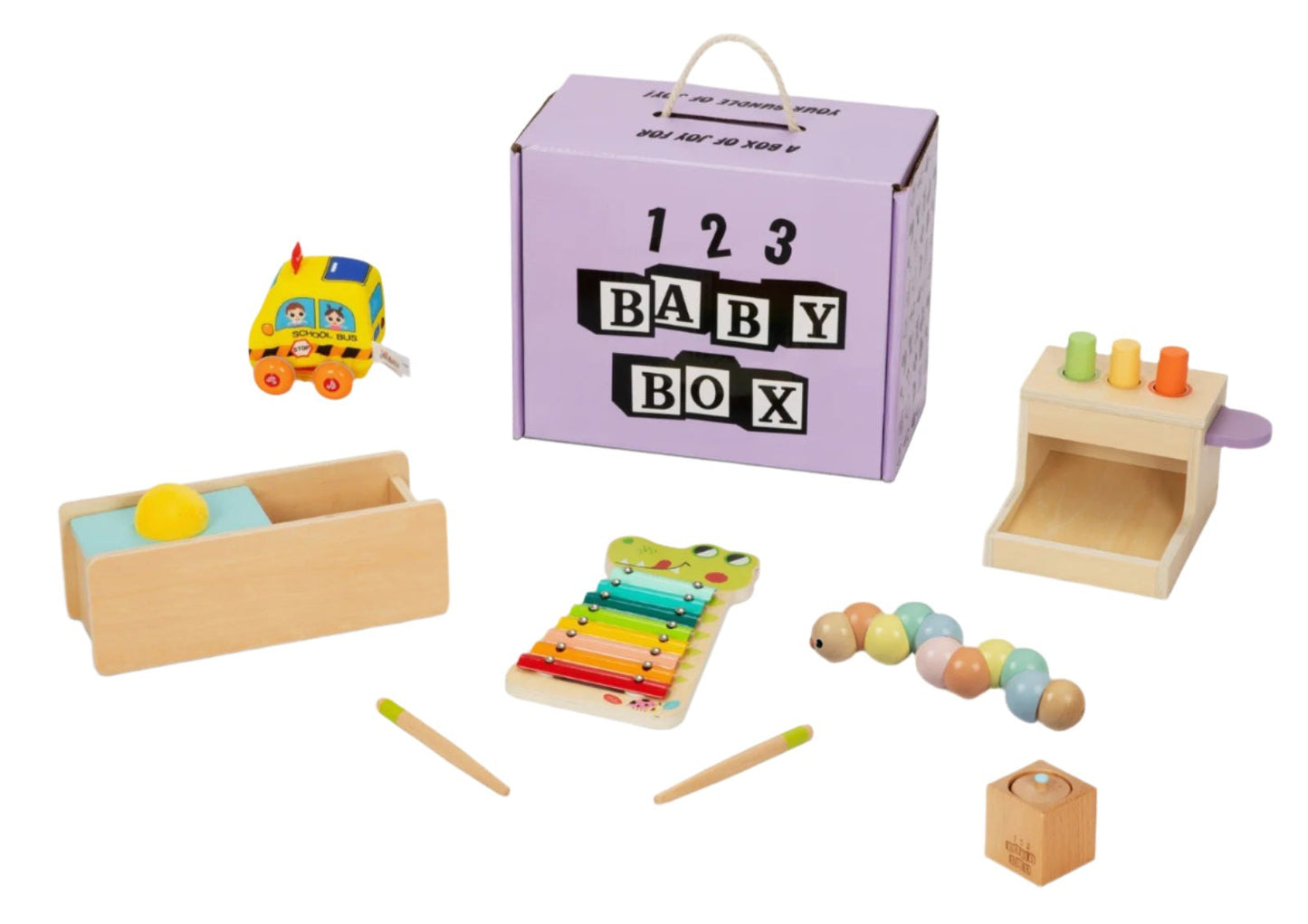 Montessori Educational Box for 11-12 months babies with developmental wooden toys and musical xylophone