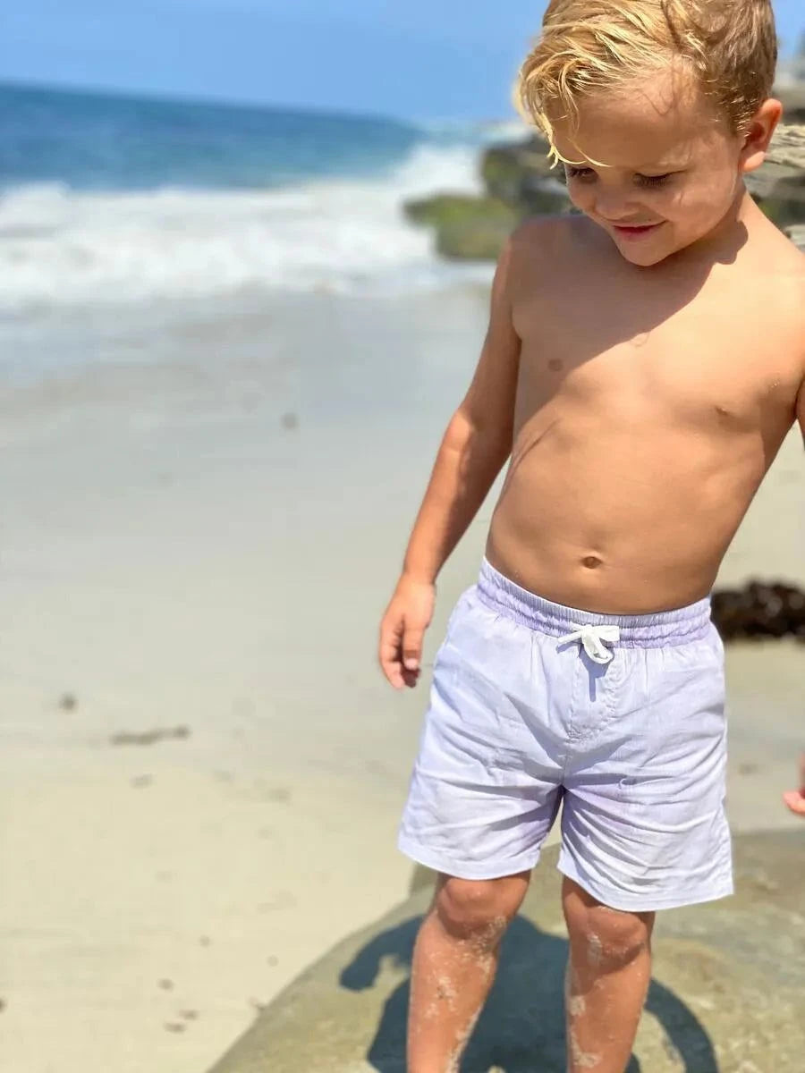 Grey Micro Stripe Swim Shorts