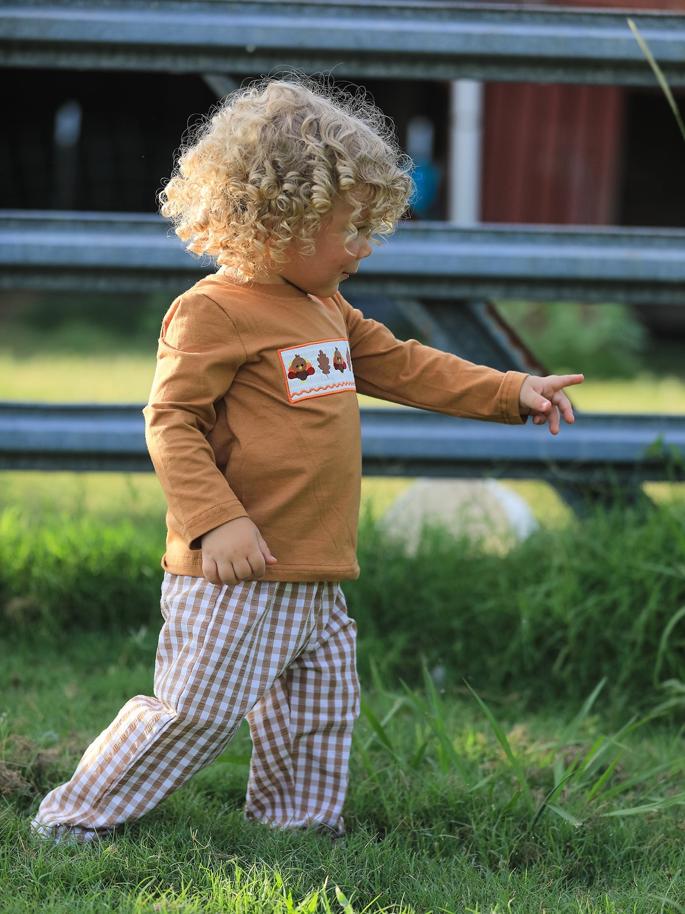 Fall Boys Thanksgiving Smocking Embroidered Brown Plaid Outfit Set
