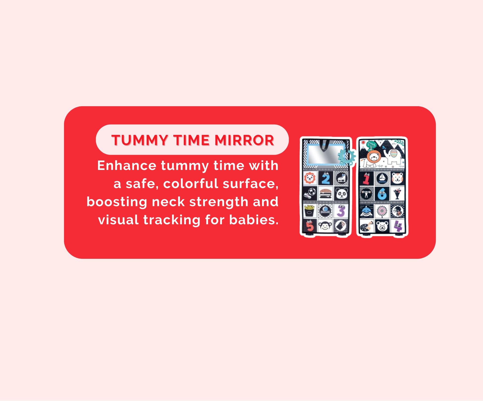 Montessori Educational Box (3-4 Months)