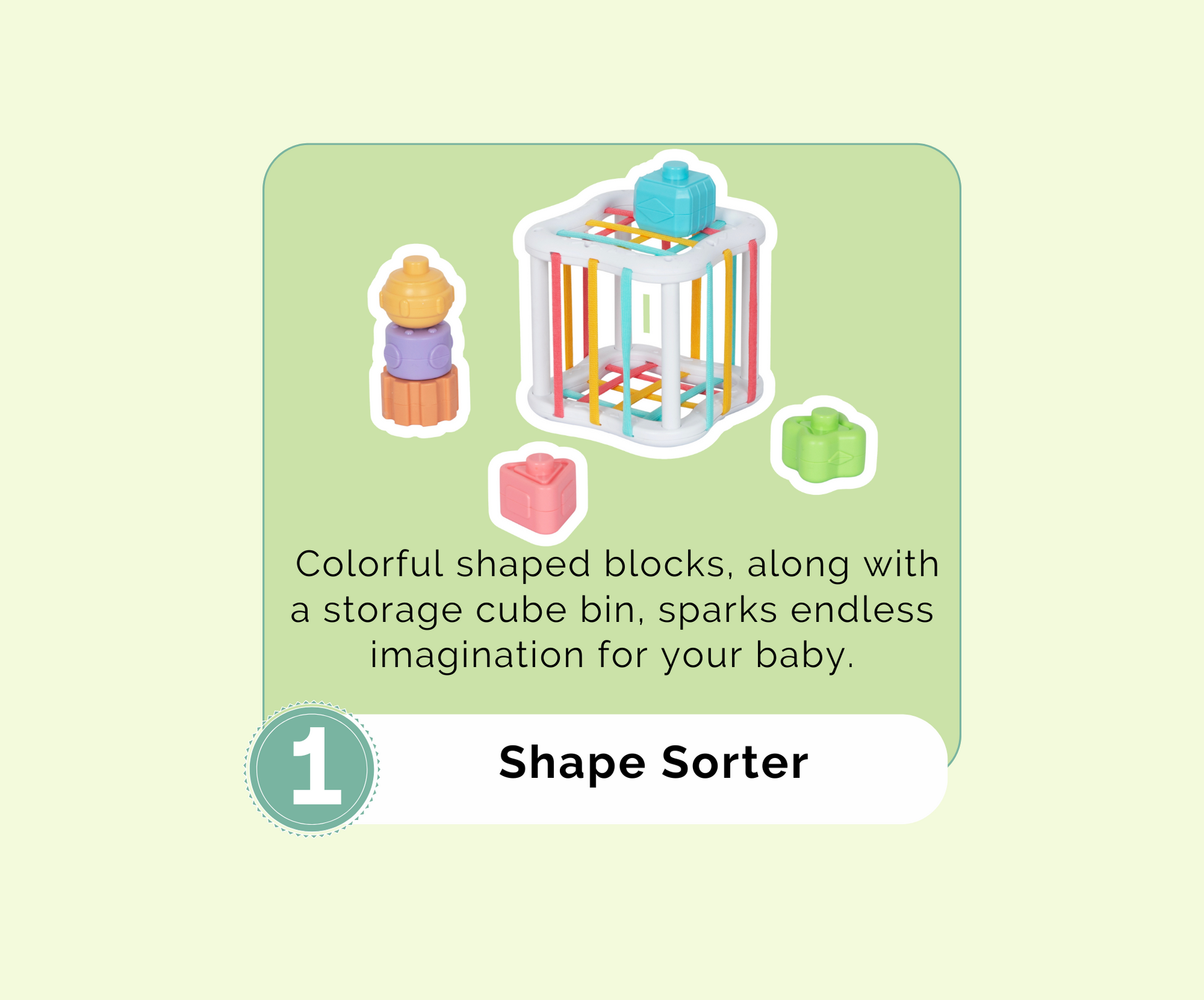 Montessori Educational Box (7-8 months)