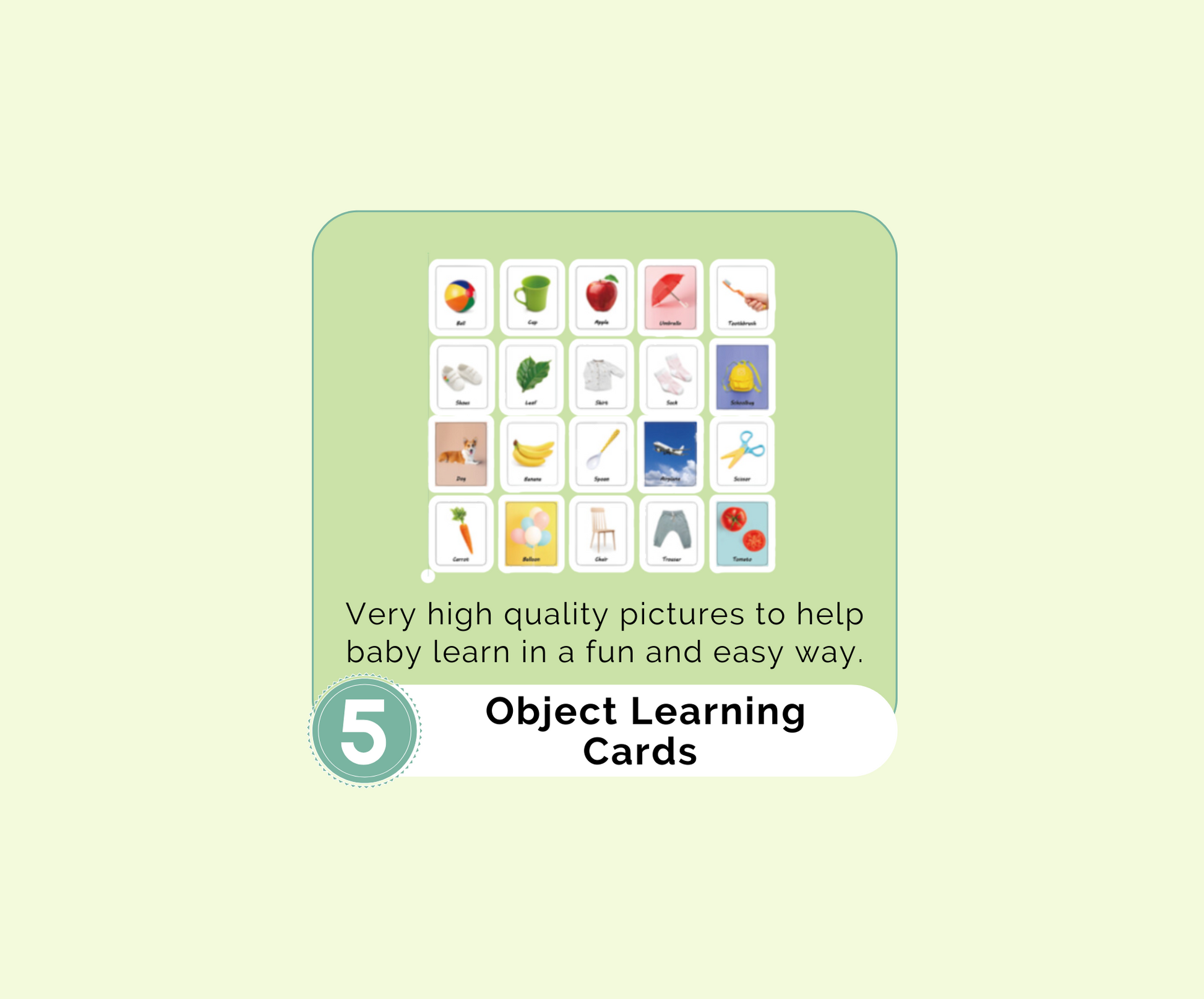 Montessori Educational Box (7-8 months)