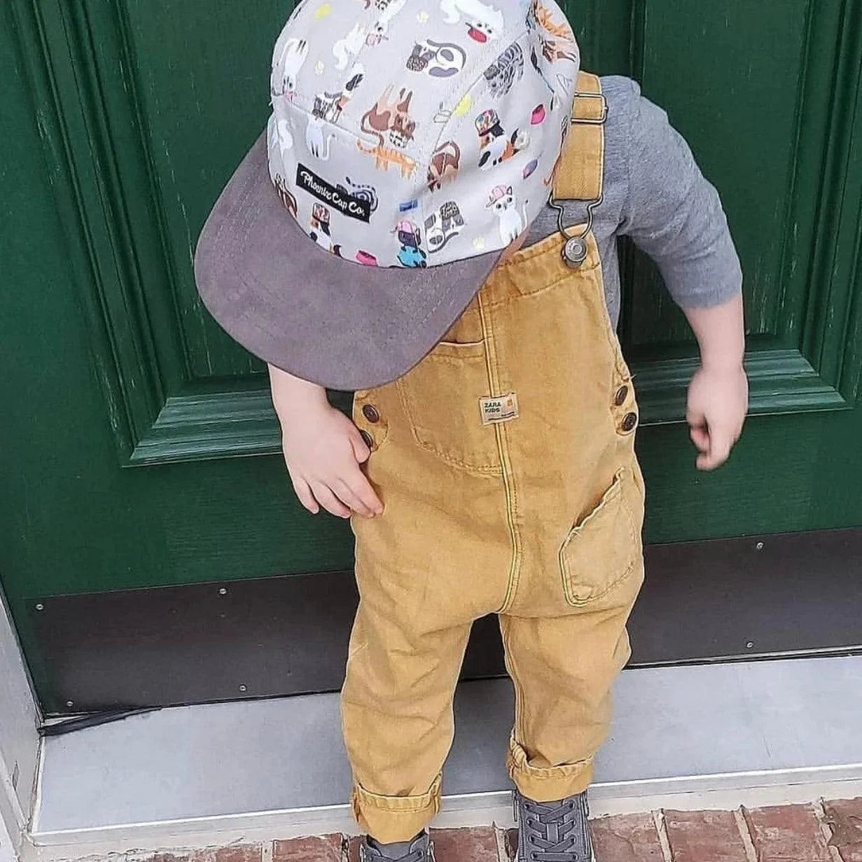 Phoenix Cap Co - Cool Caps & Kittens Phoenix Cap Co - Cool Caps & Kittens