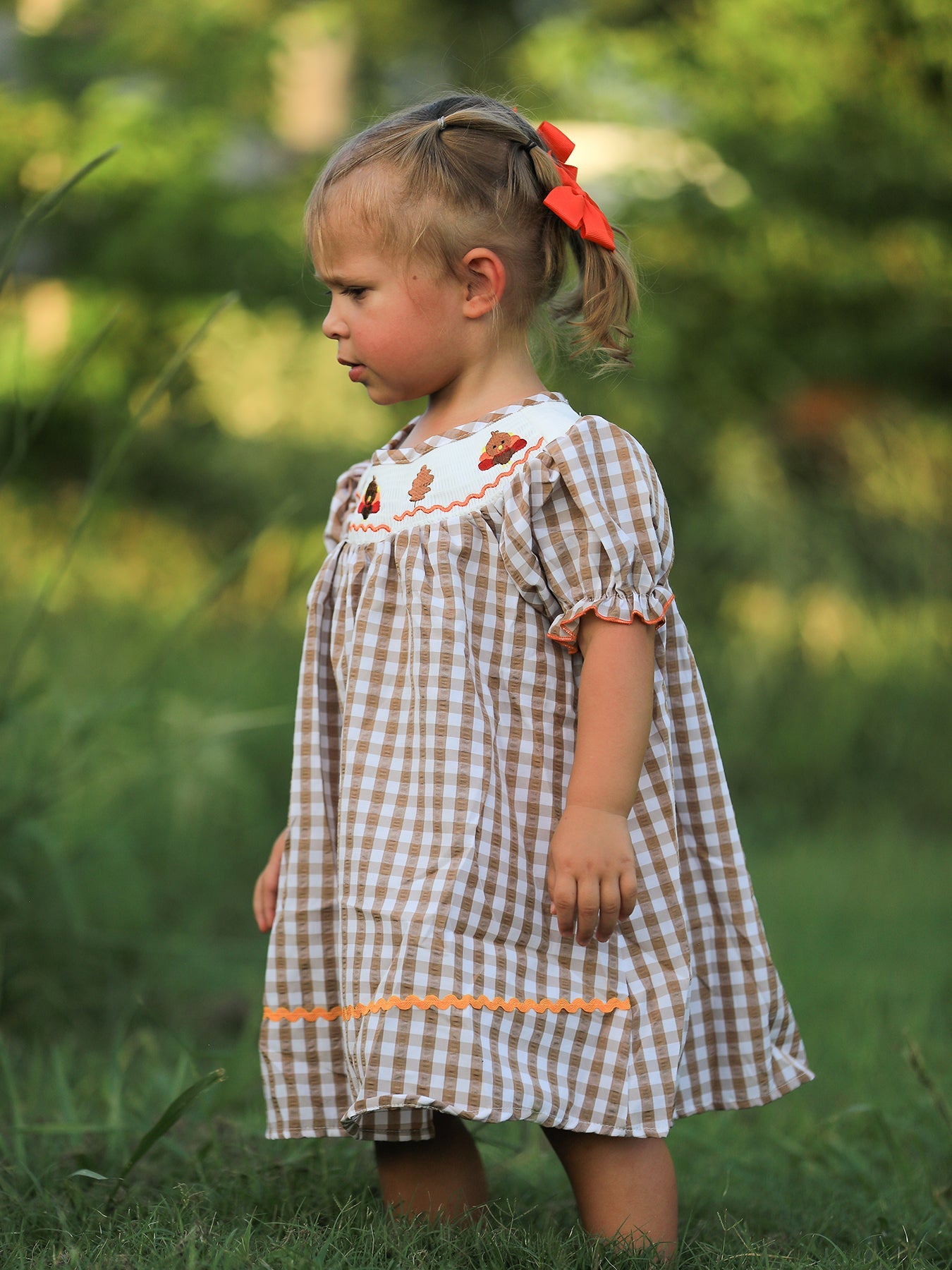 Girls Thanksgiving Turkey Smocking Embroidered Brown Plaid Dress