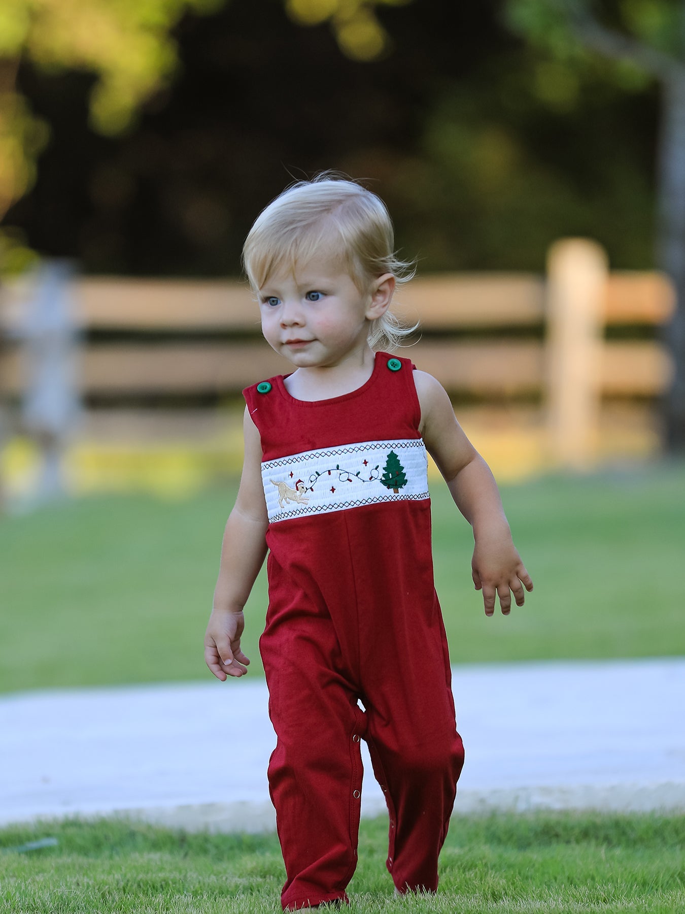 Christmas Tree Dog Smocking Embroidered Baby Boys Romper