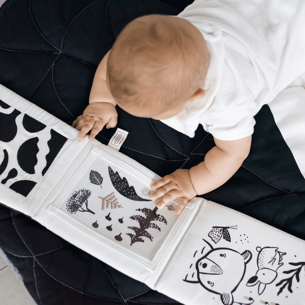 Newborn Baby Gift Set - Safari
